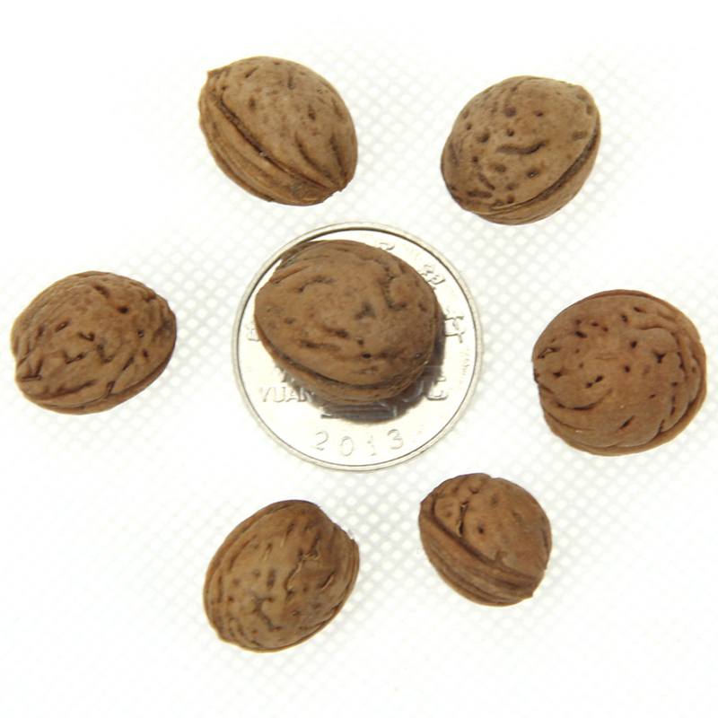 ɽҷNӮaԡNlҷNӡɽҺ˹ˇƷNӃr