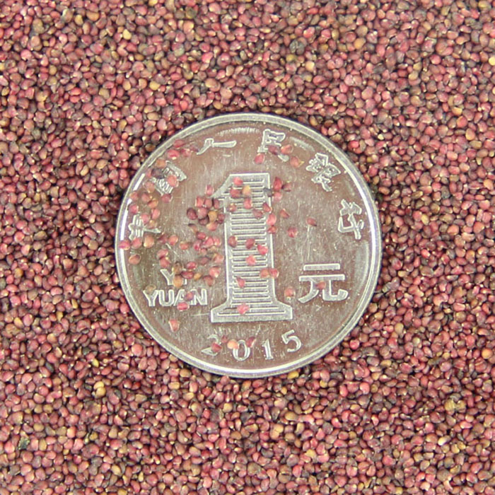 lݮNӡرܷNݻN|̓rN۱|