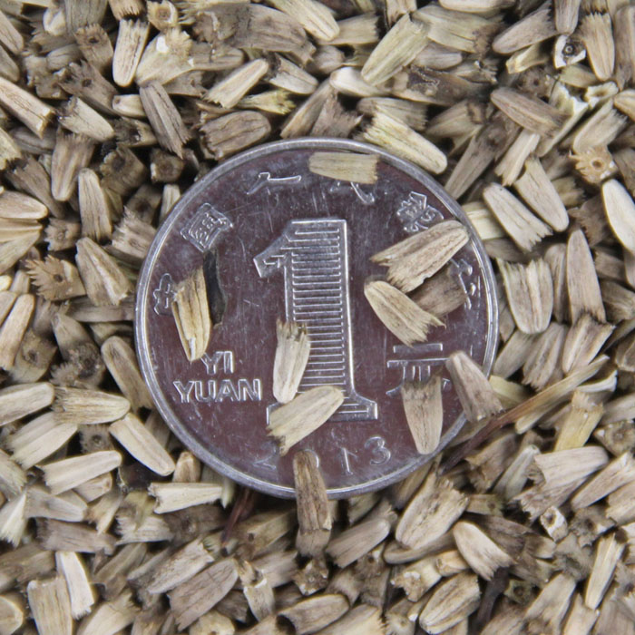 ԭɹշN^@ˇܡ׷Nֲɹ