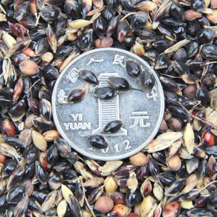 ݷNѡKݷNѡߵݷNѡͺL(zhng)졢~ţ