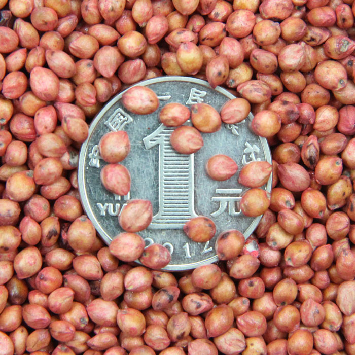 l(f)(yu)|(zh)ݷNӡNӡϾGֲr(nng)