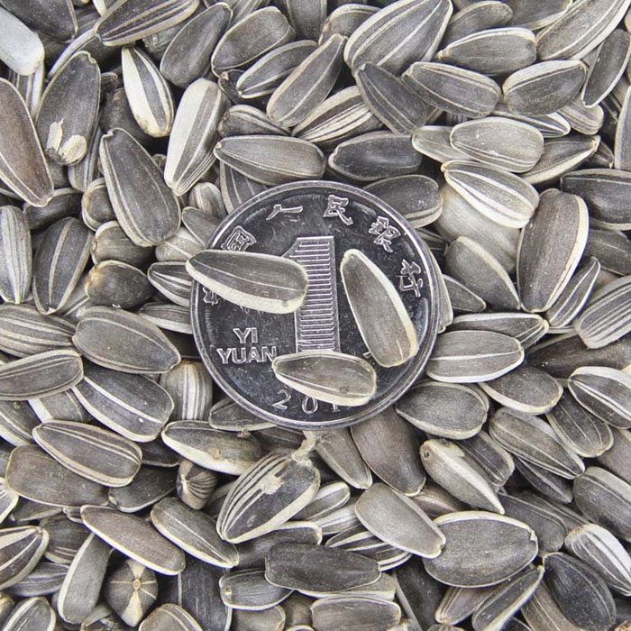 ذտNӡտND(zhun)ɏǧ