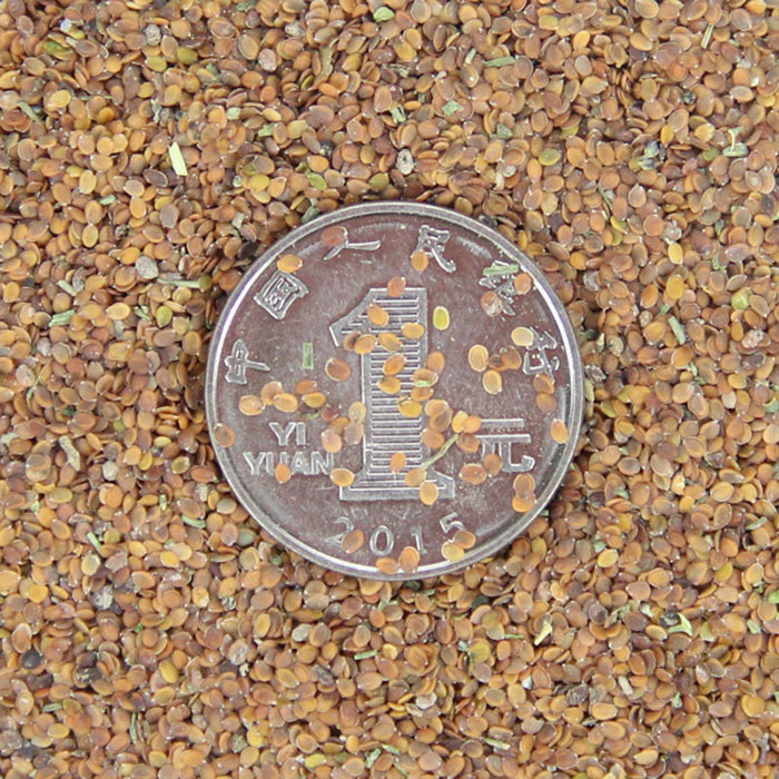 lѩNӡرݻNӡ²ɾGòݻN