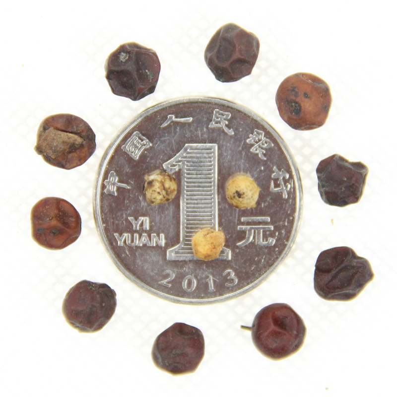 lС~NӃr񡢏SֱNС~NNۡlѿ