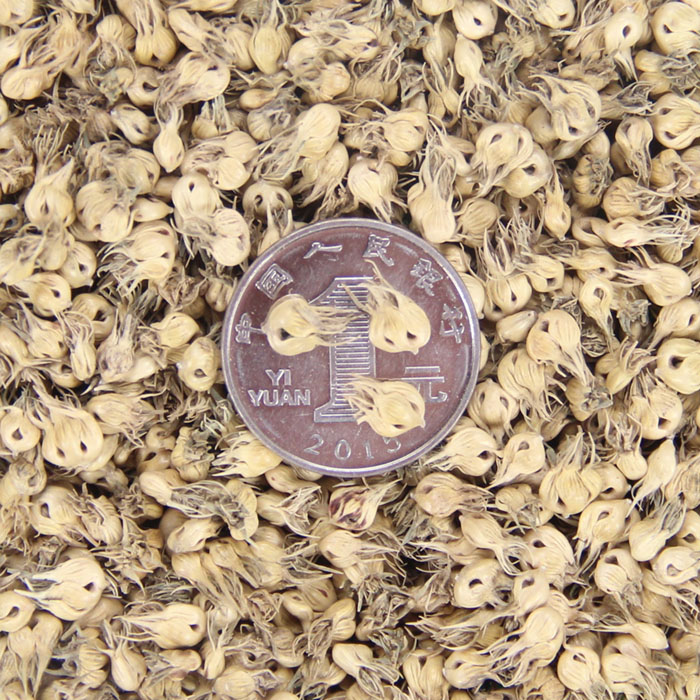 ƺNlҰţݷNӡܛͲƺѡ͟ͺ