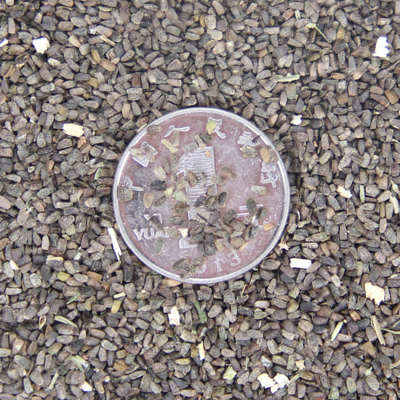 l|ĸݷNˎݷNĸݷNƷ|󃞻ݿ_