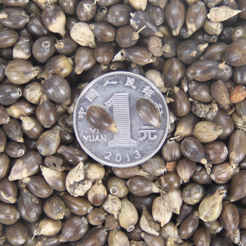 l(f)ˎķN޲ʷN޲(dng)²ɡ|(zh)ă(yu)