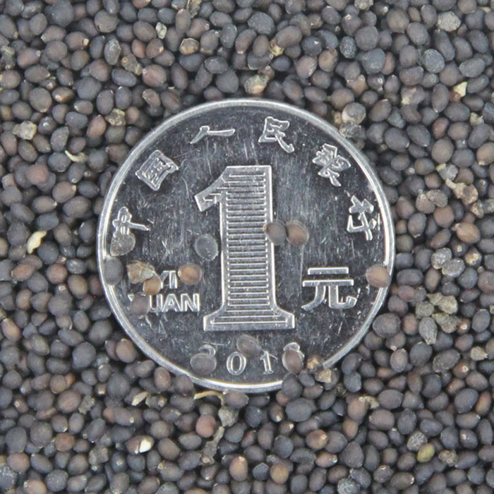 ֱN|ϻβݡ{βݡͥԺ@ַNֲ׷Nֲ