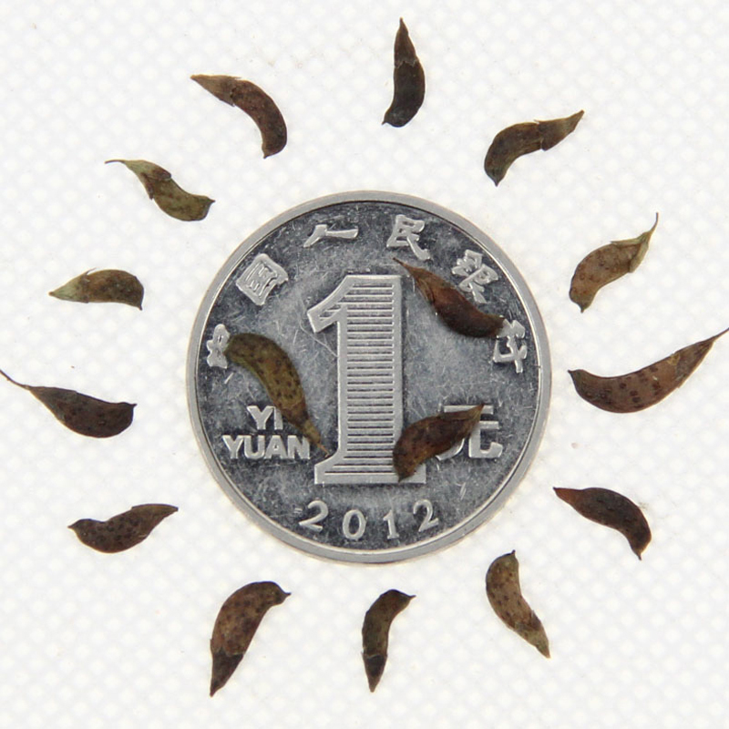 o¹ľN뻱NӡmˮoF··o