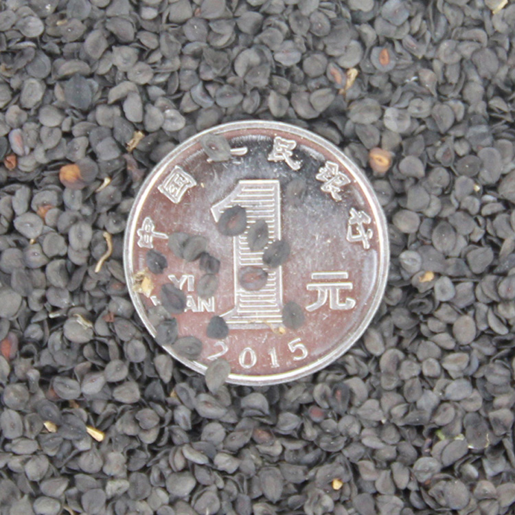 ʯNӳʯʯ񻨷NӶ޸ͺ_