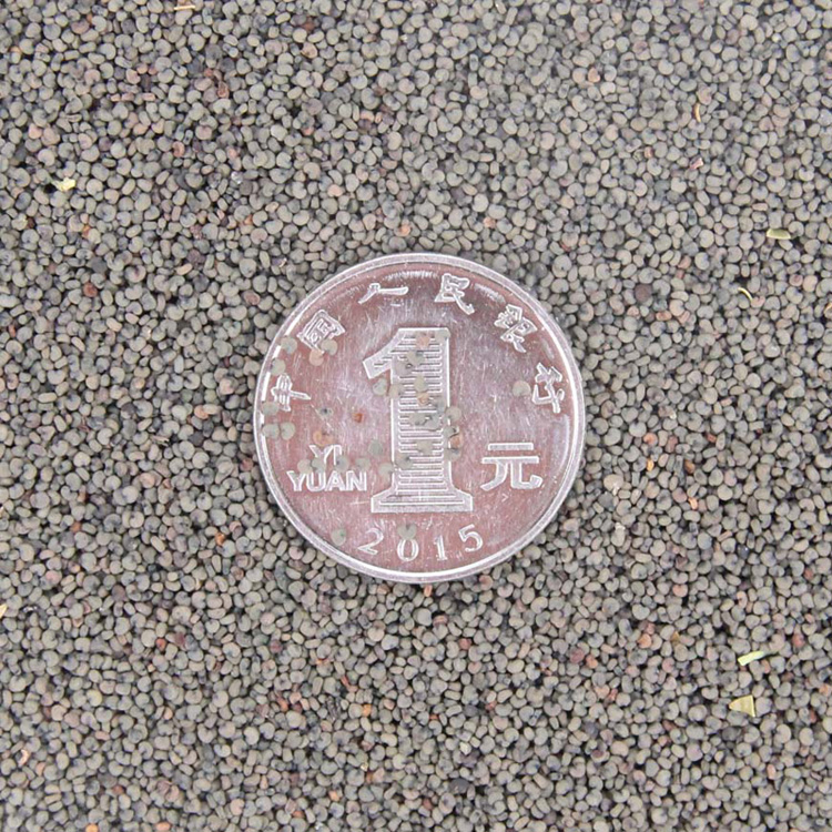 󻨼_}NӲݻNe󻨼_^ݱֲ