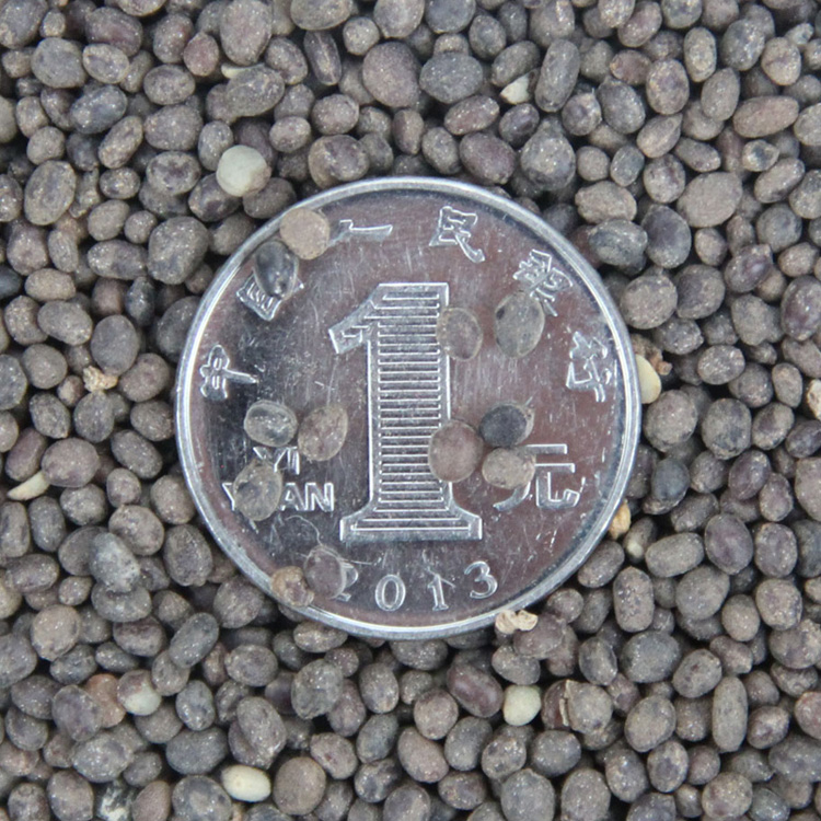 l(f)(yu)|(zh)ݱܷNӡPɻNӡ^pֲˎĻܡ׷Nֲ