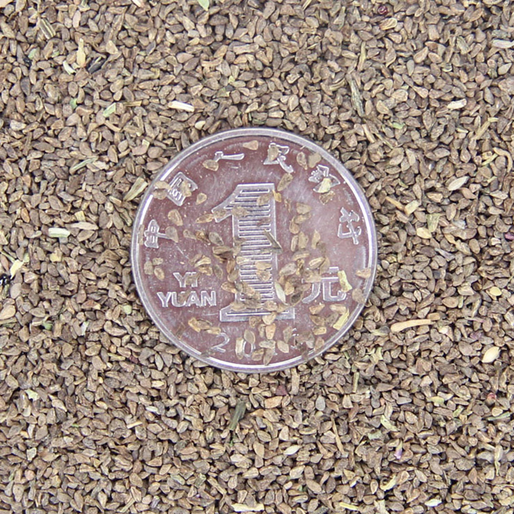 lŴϡNӡݻNӡ|ĻܷNӹŴϡֲNl