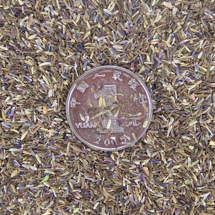 _ͥԺܷNӻݷNӡmշN{ɫ~sһ