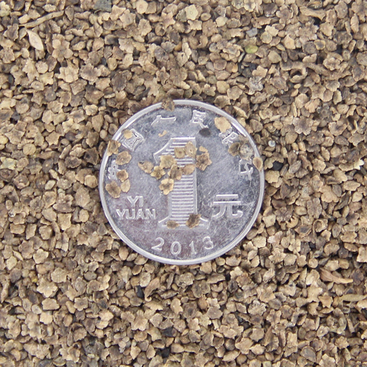 ֱN_ͥԺֲﻨܷNtwGwN^~