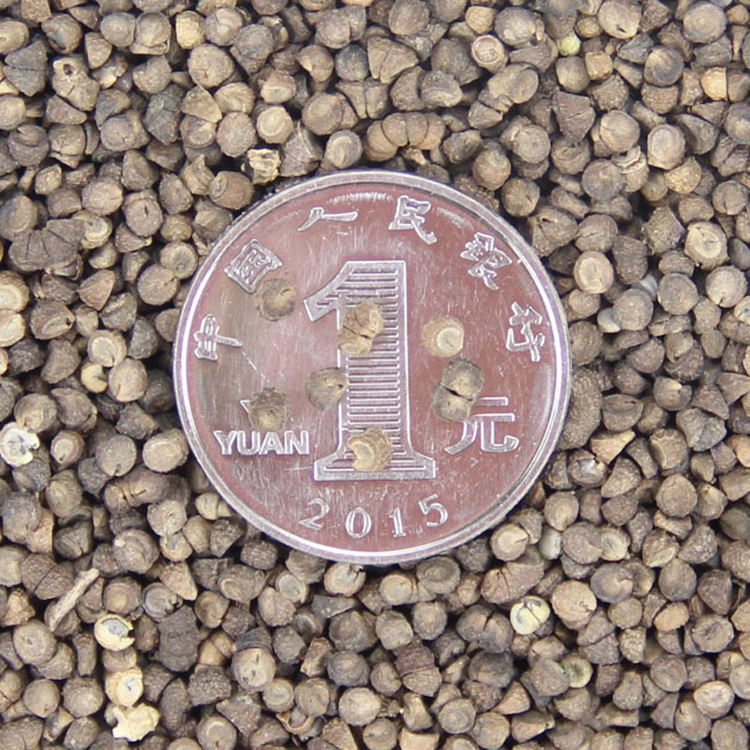 \NlݻNӻܷNӃ|\^ֲlѿʸ