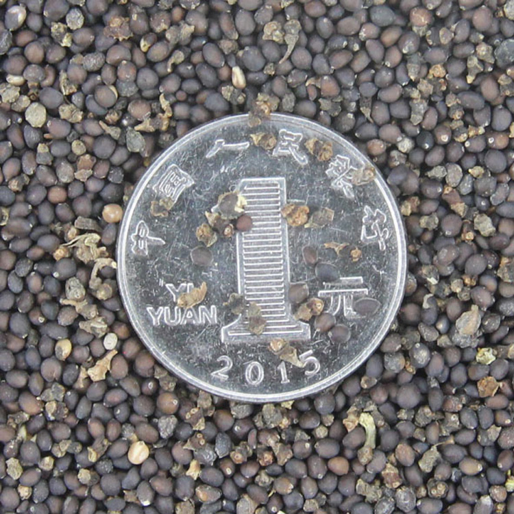 {βݷNӡmβݷNӡ{ɫܷNӡ^p