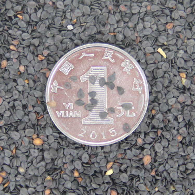 lʯNӡʮ\ʯ횰ʯNӡͥԺԻܷN