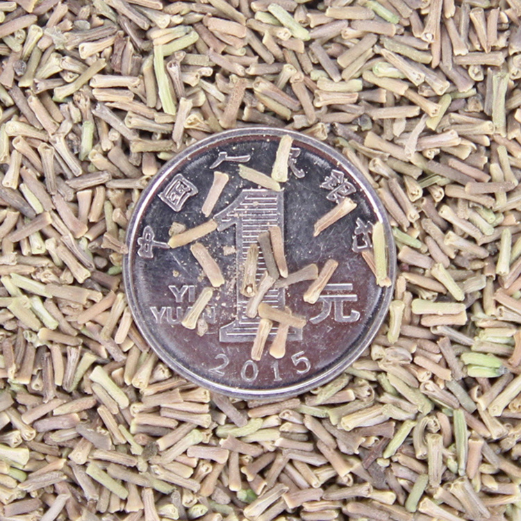 l(f)(yu)|(zh)ŮѷNӡܷNӡ(dng)²˙