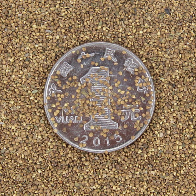 ί˷Nӡ|ĲݻNӡί^ֲﻨܷNӾ^ֲ