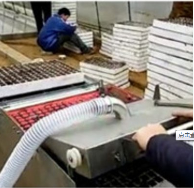 ĭ粥NCƯP粥NCż粥NC