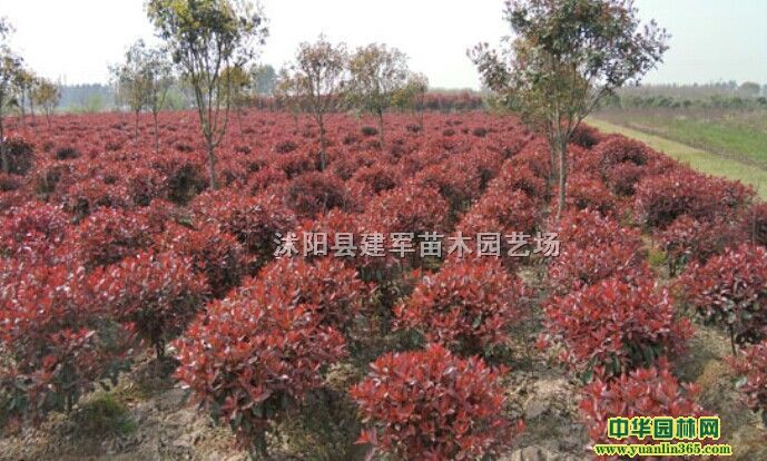 t~ʯ骡ߗUʯ骡t~ʯ骘䡢t~ʯ