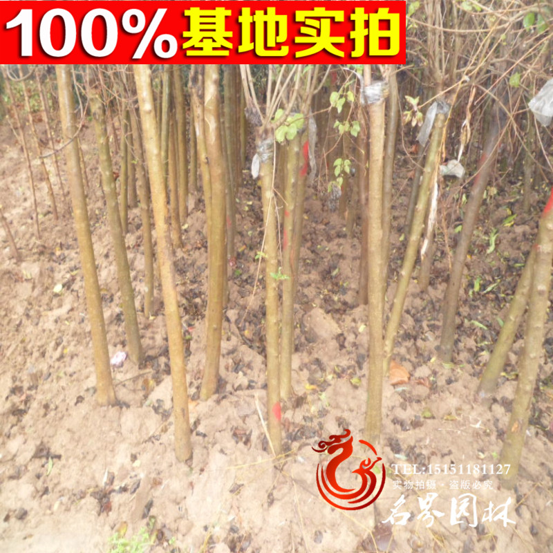 ϶㡢϶硢϶С硢϶㹤