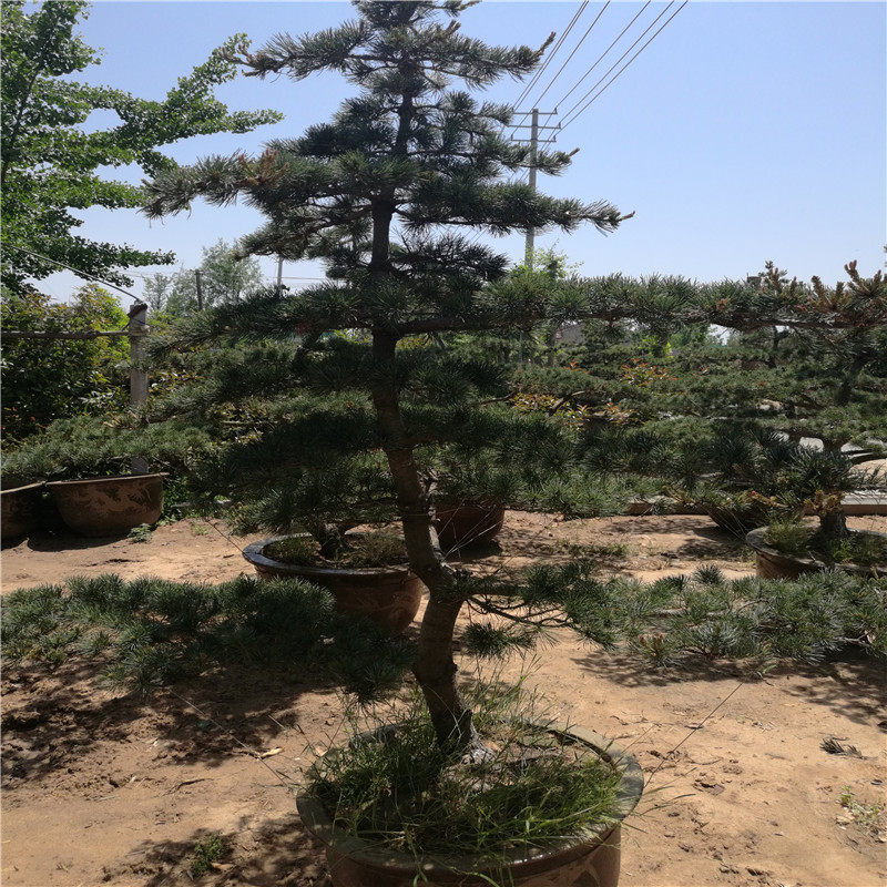 ?bio)硢̾G100-350?bio)ˎÃr(ji)ֵߡL(fng)