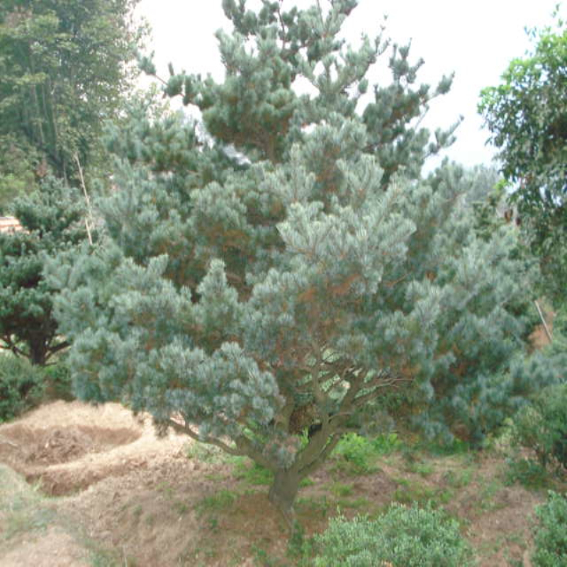 ?bio)С硢(bio)ɘ?sh)硢?bio)辰硢(bio)l(f)