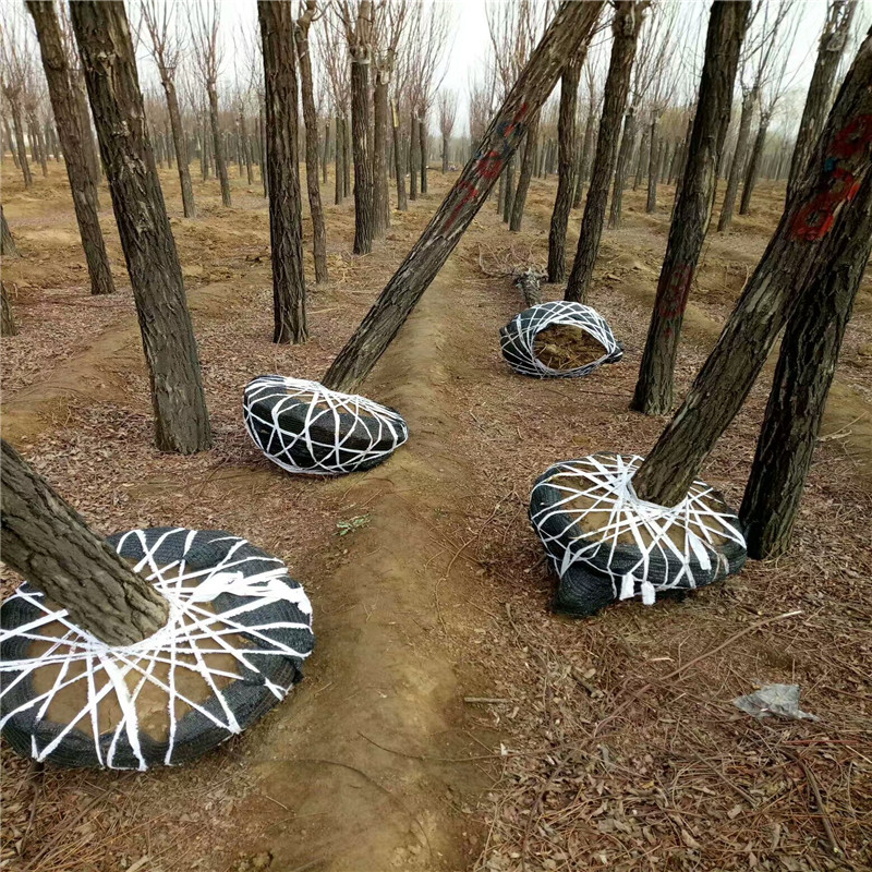 l|㻨硢㻨r񃞻׳ɻă