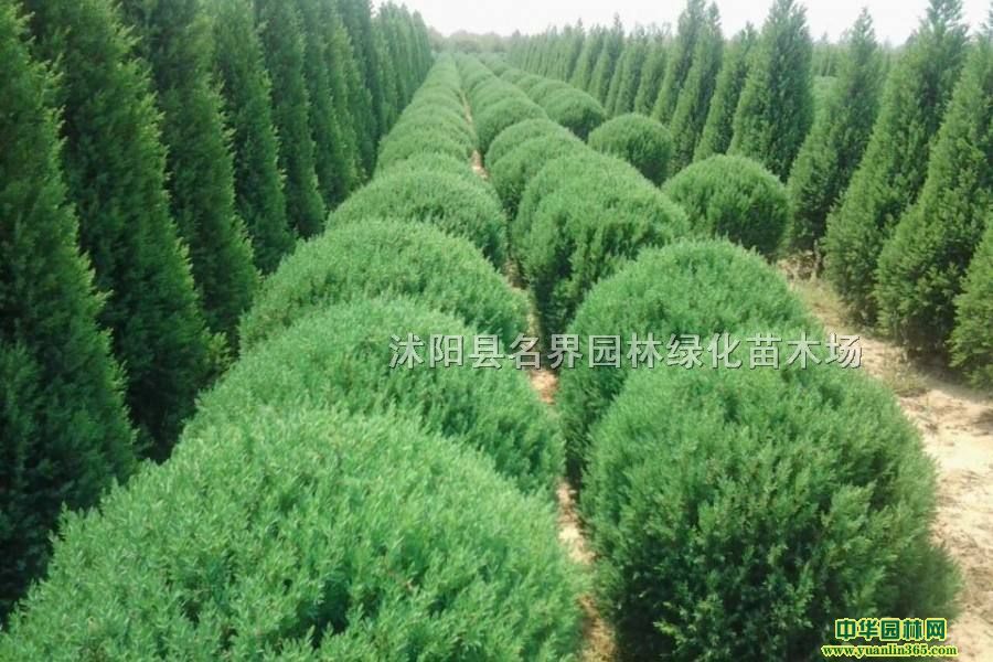 uػؽK؄euجF(xin)̓r(ji)