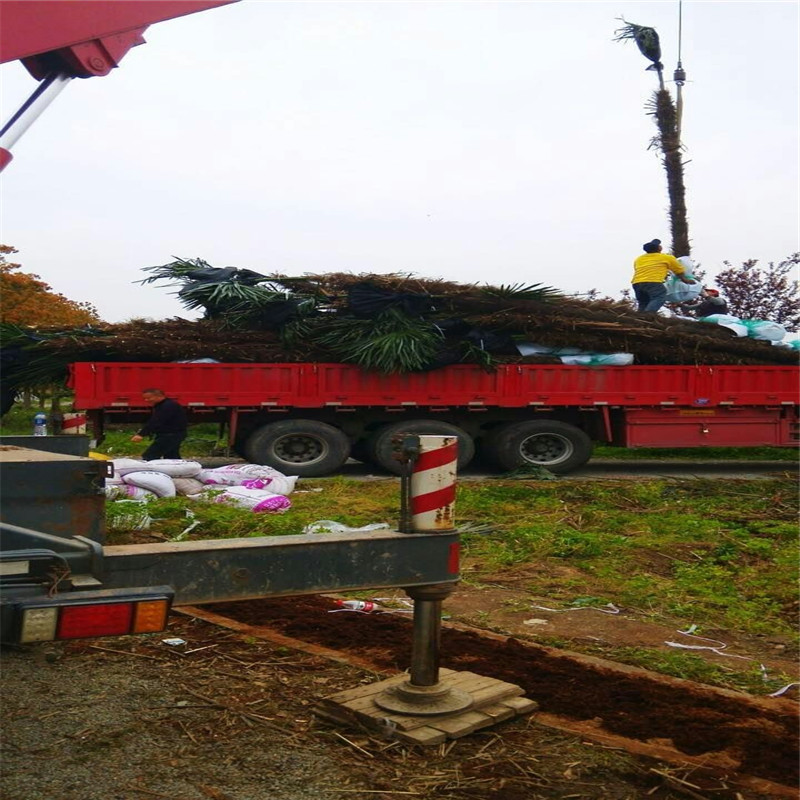 سؙļ|Ҏ󃞻