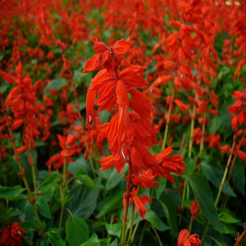 lݻNһt̼tɫtrGLmԏ