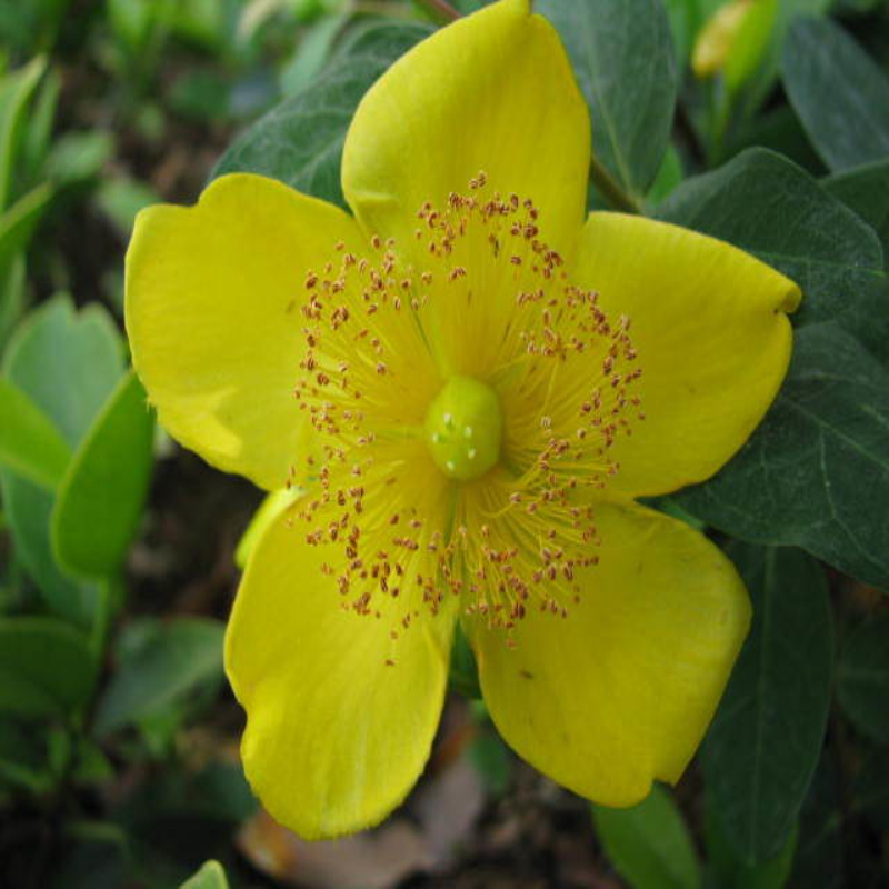 lz÷z÷С硢zҡҎ@־GɫKČ