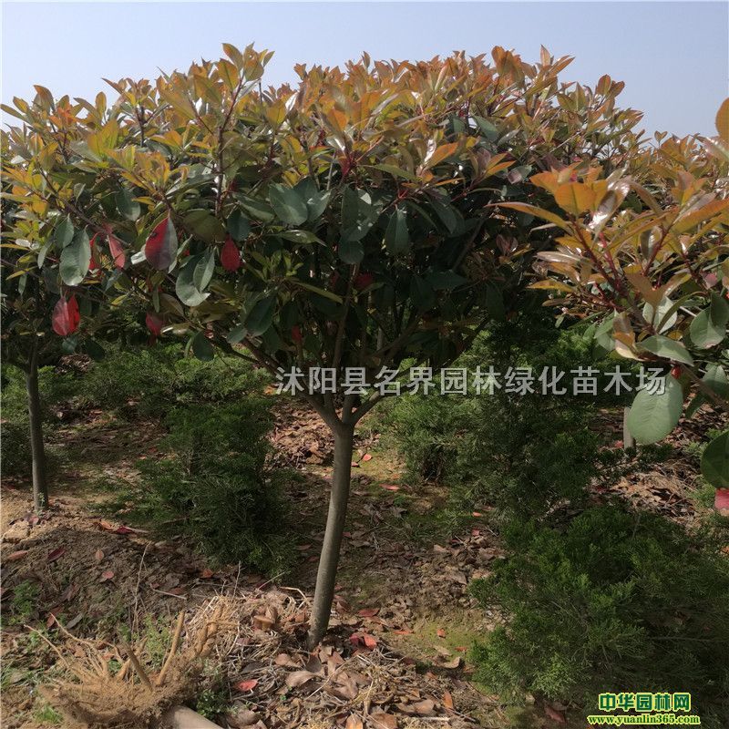 ߗUʯԻؽK؄eߗUʯ骬F璁