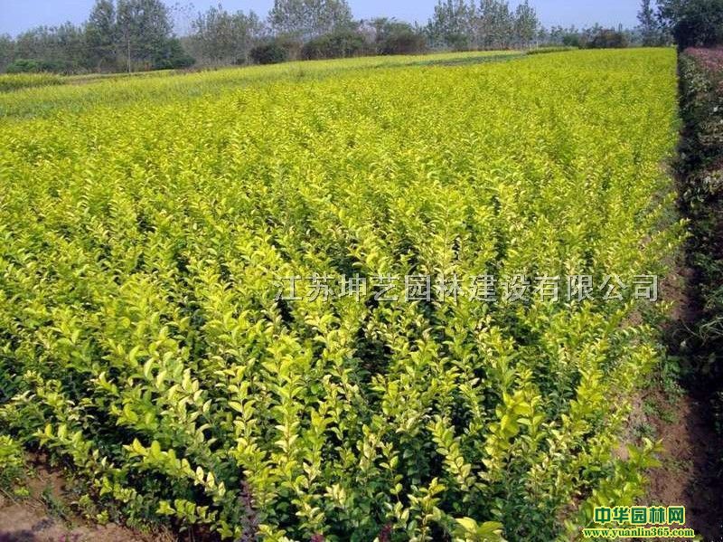 ~Ůؑ~Ůؑ~Ůؑ