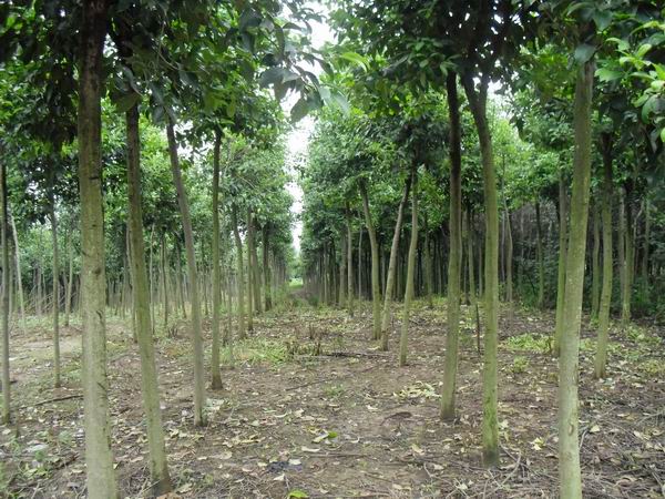 䡢Θ䡢~Ůؑѻޱ~÷ܘ䡢÷