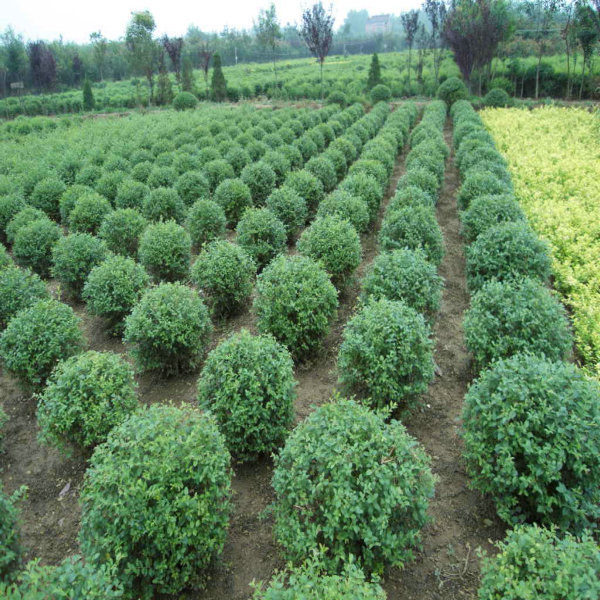 ÷С~Ůؑܘ䡢dӻ~ѡ϶