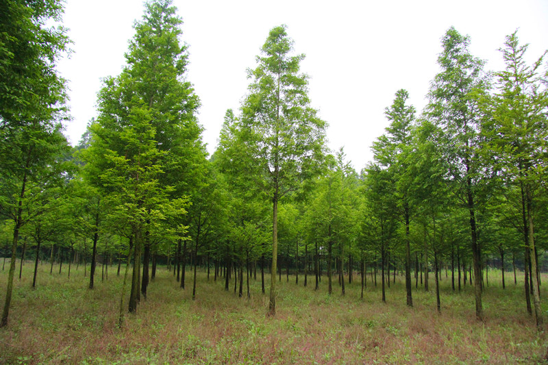 ˮɼˮϞС~ŮؑͩѩɡSβ