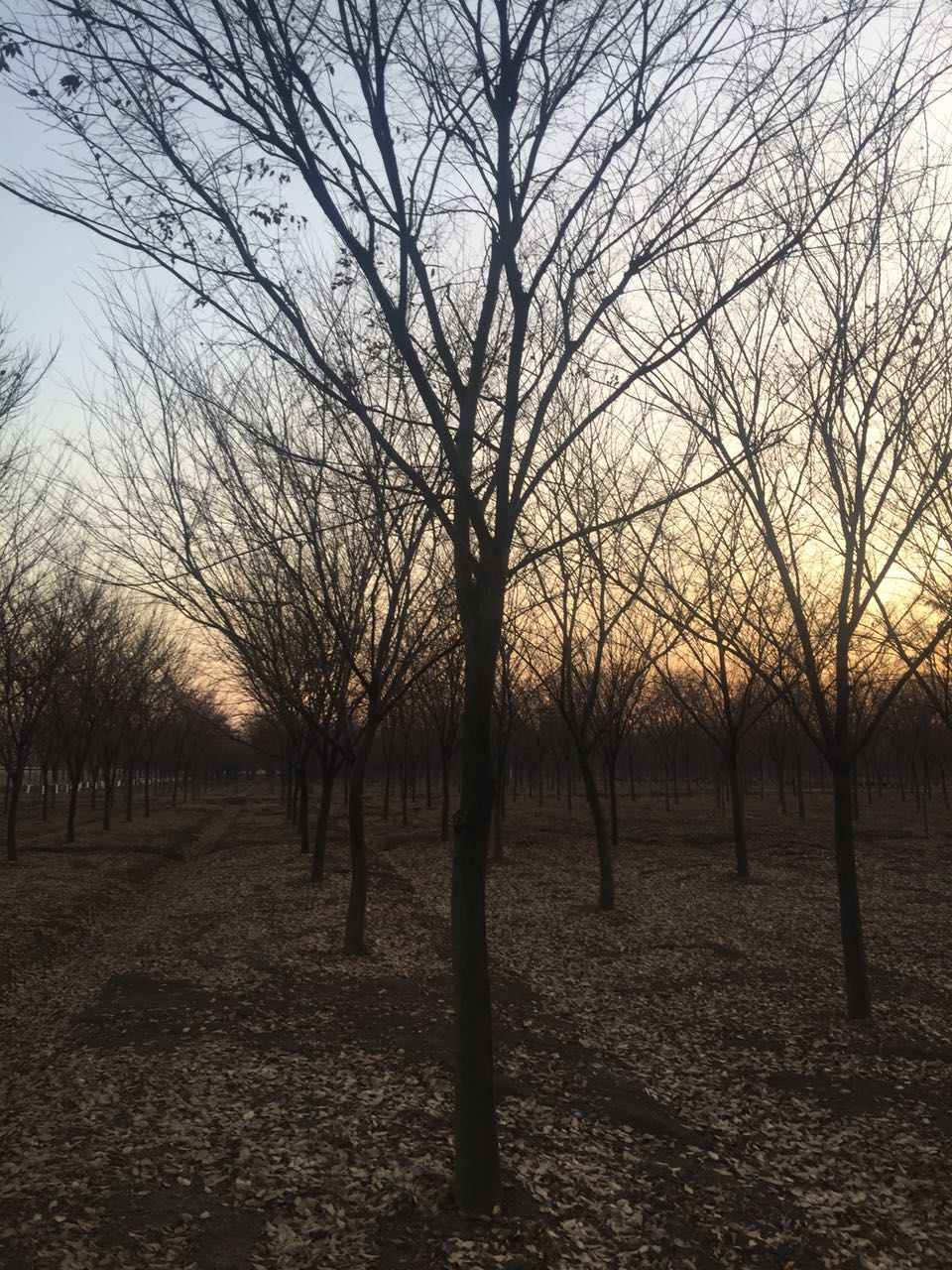 Θ䡢tΡ䡢~Ůؑyӡ~С~