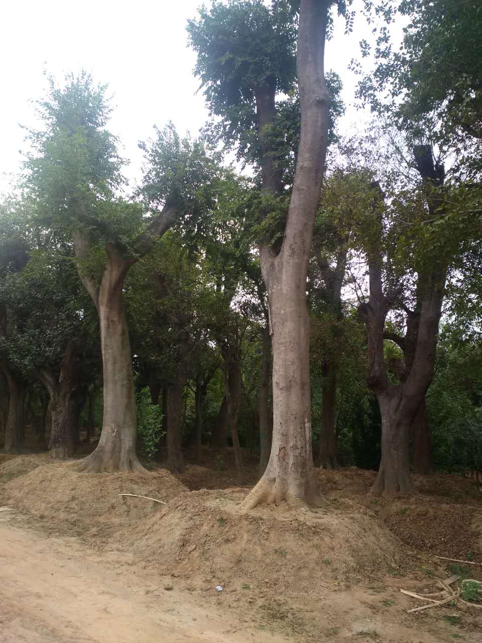 䡢Θ䡢~Ůؑѻޱ~÷ܘ䡢÷