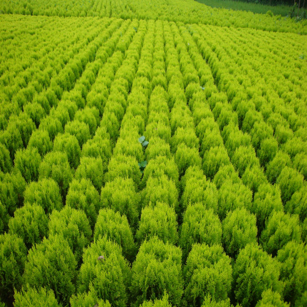 ÷yѿ㴻ǧ^t~Ůؑ