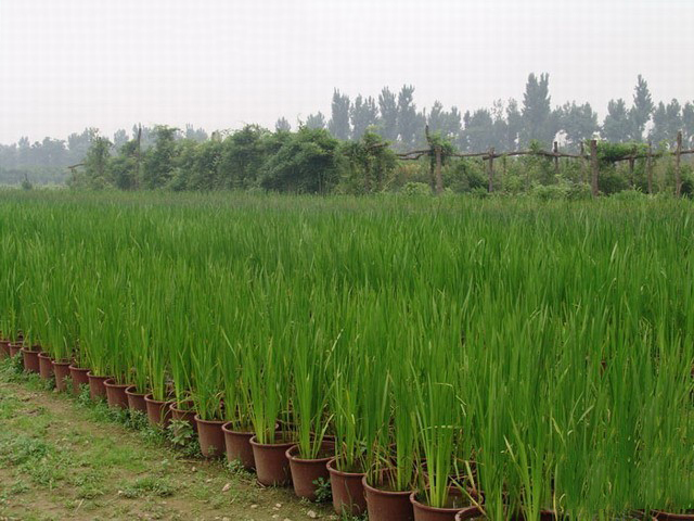 ˮۻˮɼ~(x)~â㹽񎧲