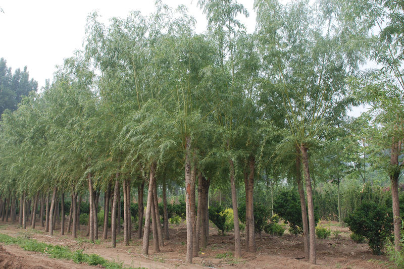 zS𻱡uצʡS򡢊Aҡz|lì