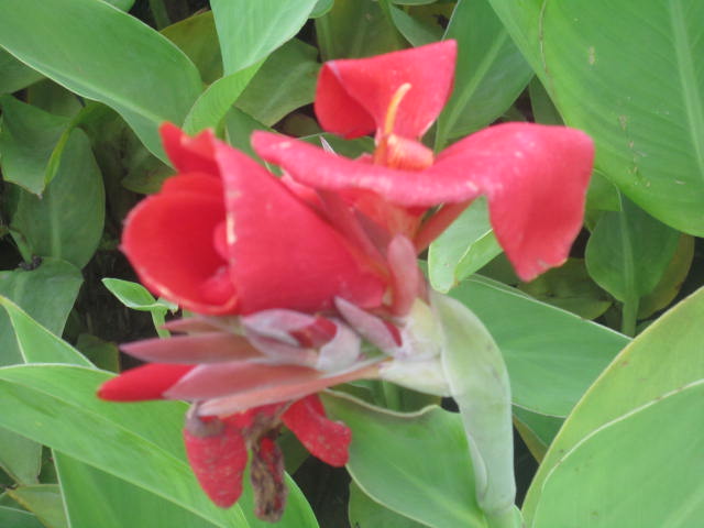 ˽{Sβ{βݡǧˡݡˎRɏ