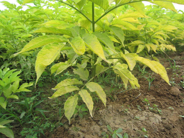 ~ӹľ߶1.8׹ڷ1.2סl(f)