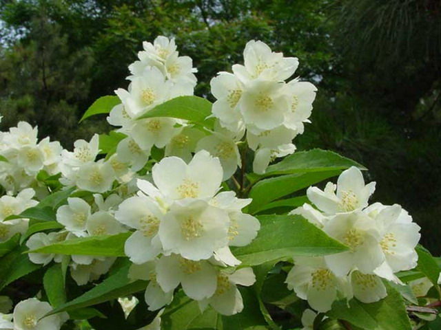 ̫ƽľC÷~L(fng)~L(fng)