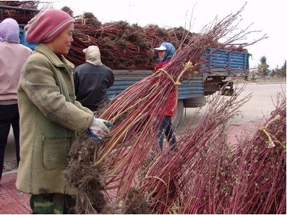 tľ÷t\ľC򡢺֦ӡ\u