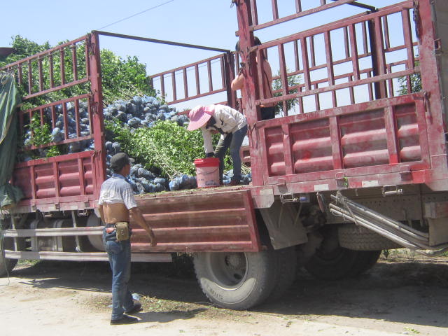 ľȸ߶1.2׹ڷ30ڷ5֦Ј