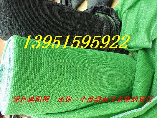 NꖾW(wng)̫ꖾW(wng)ڹW(wng)W(wng)